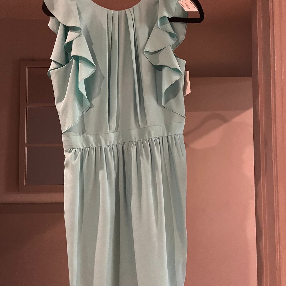 NWT and Never Worn !Shoshana Mint Green Short Sleeve Dress